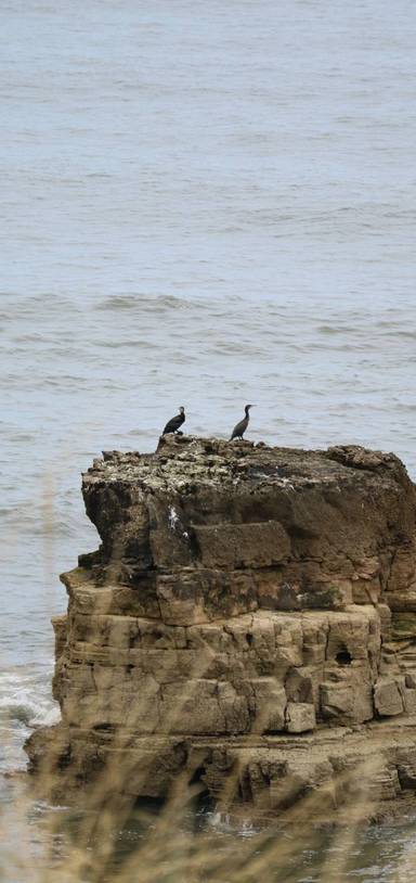 Preview of Loop Around the Lighthouse