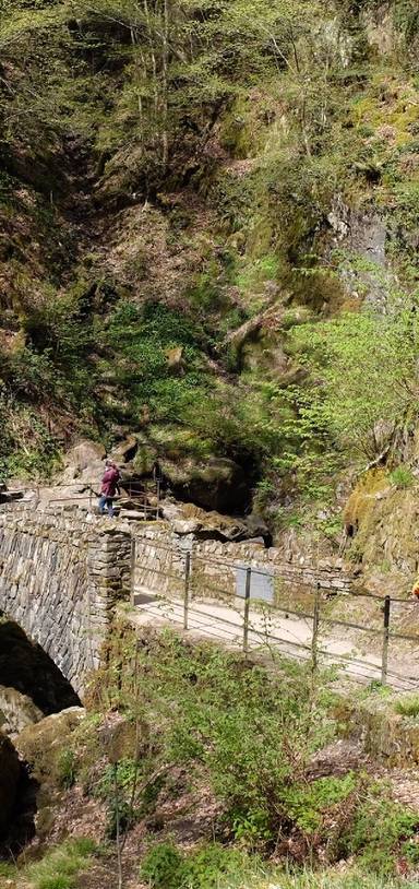 Preview of Aira Force waterfall