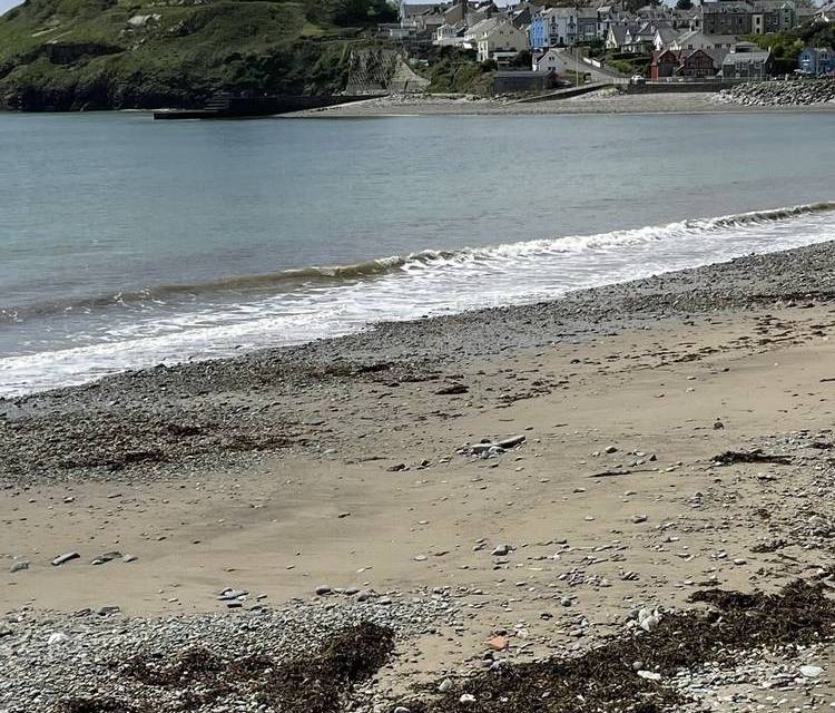 Preview of Criccieth Castle and Beach Bop