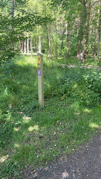 Preview of Woodland Wellbeing Trail