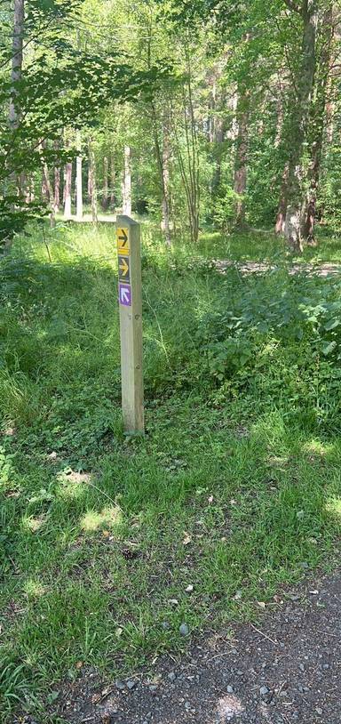 Preview of Woodland Wellbeing Trail