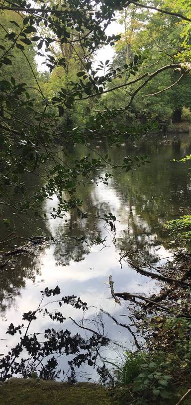 Preview of Bradbourne Lakes