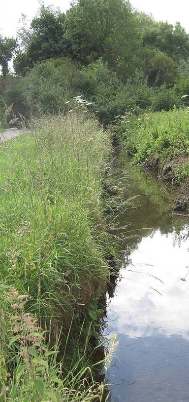 Preview of Dollis Valley Greenwalk