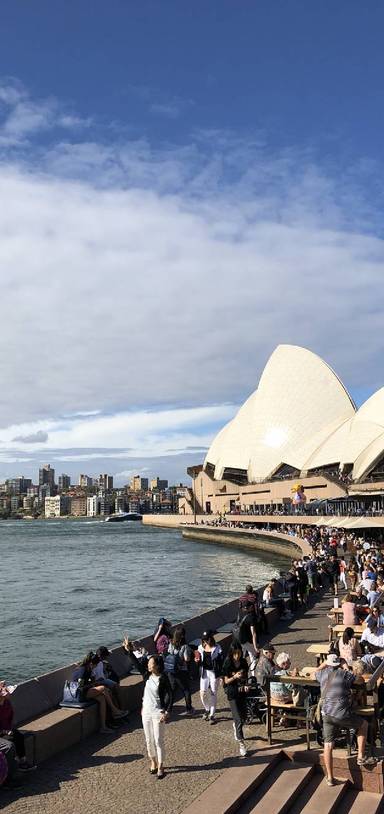 Preview of Just arrived in Sydney