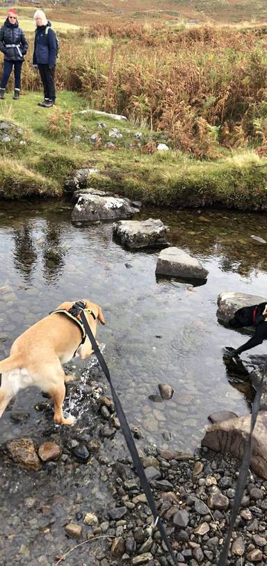 Preview of Exploring Glendrian’s lost village
