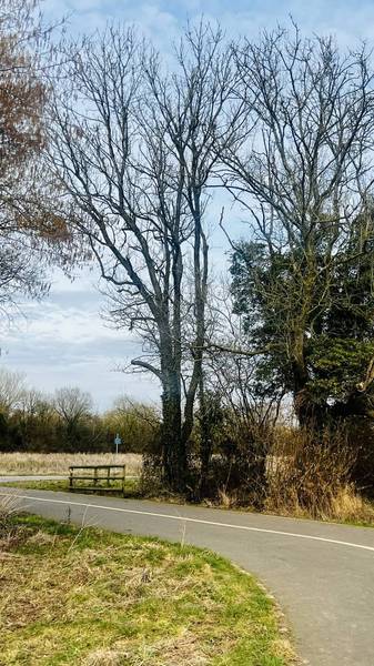 Preview of Yarnton & Begbroke Explorer Trail