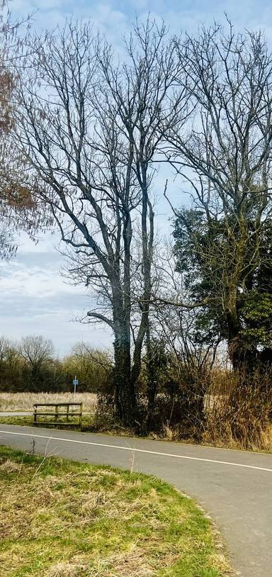 Preview of Yarnton & Begbroke Explorer Trail