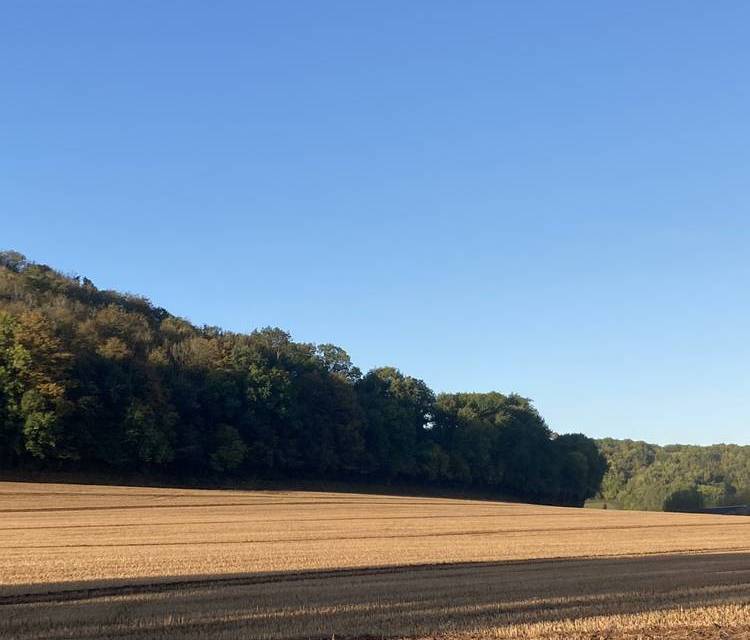 Preview of Magor to Carrow Hill loop