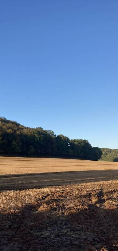 Preview of Magor to Carrow Hill loop