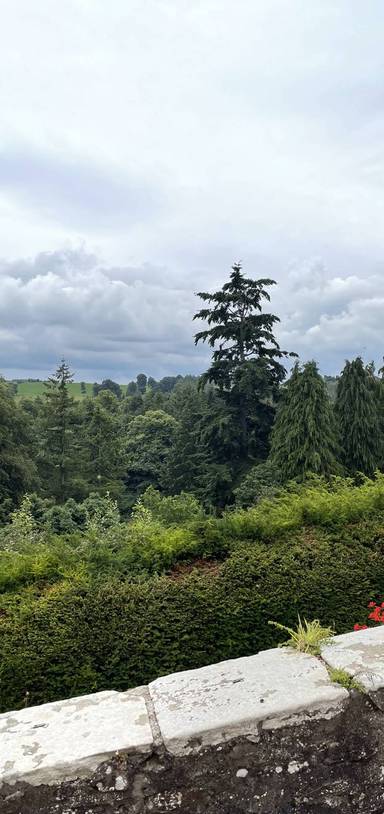 Preview of Summer stroll in Castlebank Park.