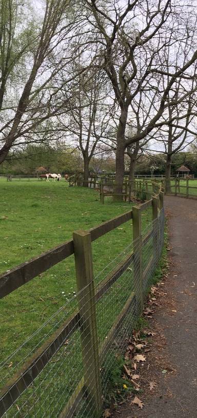 Preview of Newham city farm