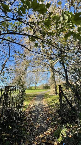 Preview of Bristol Ring Section 3