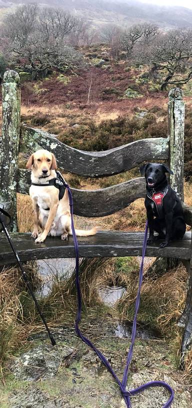 Preview of Short steep hike to a Giant’s Chair