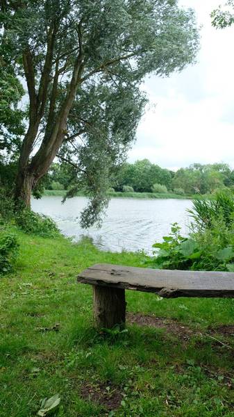 Preview of Hinchingbrooke Country Park Trail 