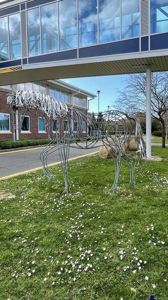 Preview of Rivermead Loop