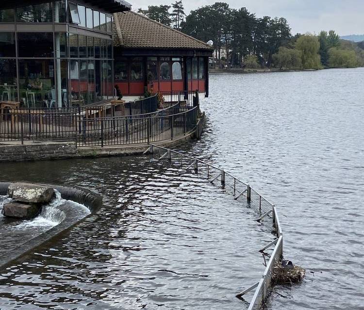 Preview of Roath Park & Botanical Gardens