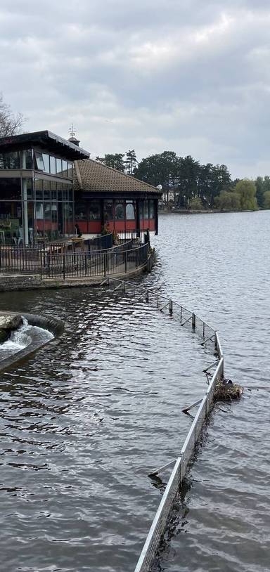 Preview of Roath Park & Botanical Gardens