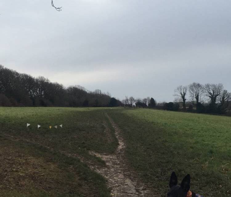 Preview of Riddlesdown ramble
