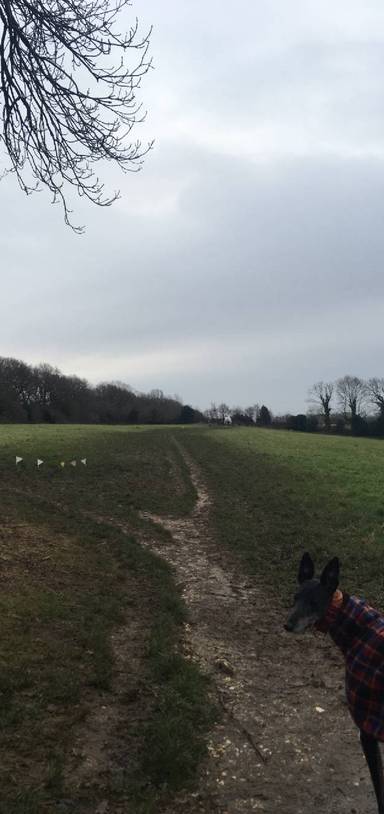 Preview of Riddlesdown ramble