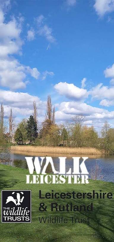 Preview of Explore the Soar