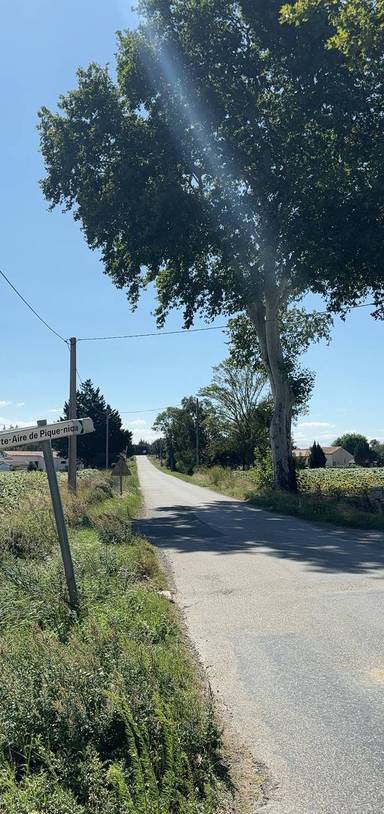 Preview of Easy walk: Cailhau & the Voie Verte