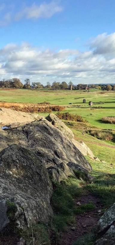 Preview of Bradgate Park Trust