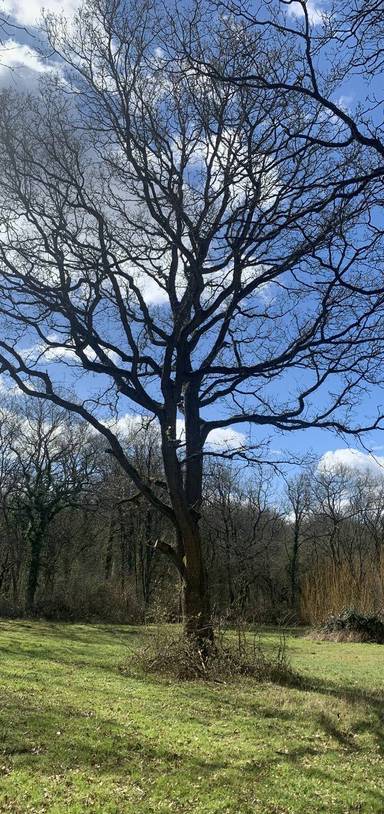 Preview of Langdon Hills Loop