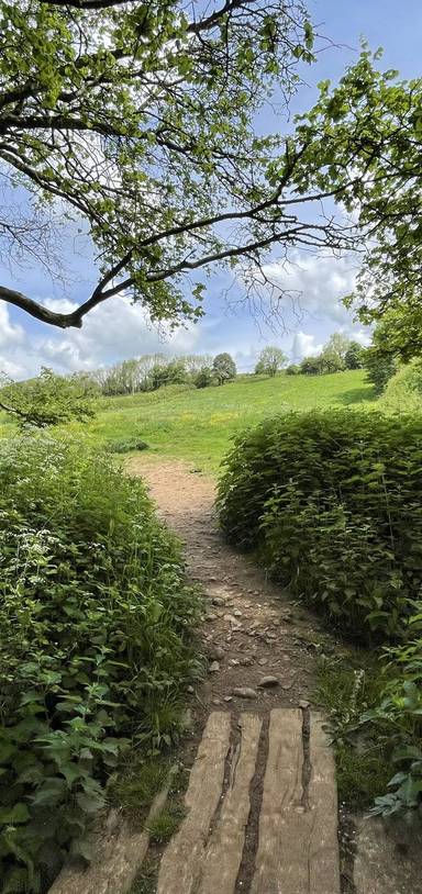 Preview of Chilcompton River & Railway Trail