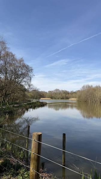 Preview of Lindow Common Two-Loop Walk