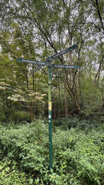 Preview of Trip Around the Halewood Triangle