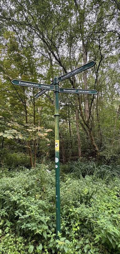Preview of Trip Around the Halewood Triangle