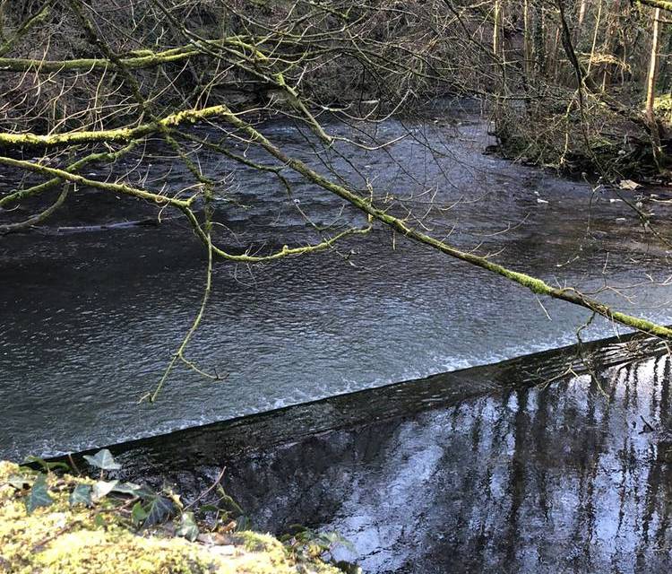 Preview of Eastville Park Purdown Loop Walk