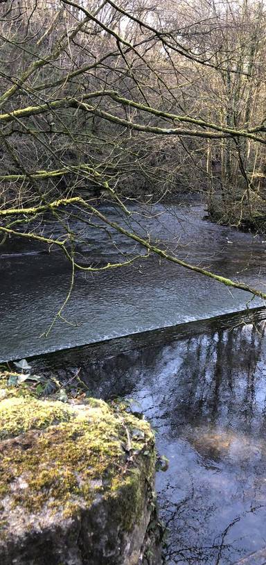 Preview of Eastville Park Purdown Loop