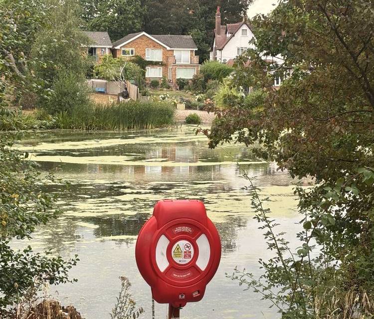 Preview of Northfield Nature Discovery Trail