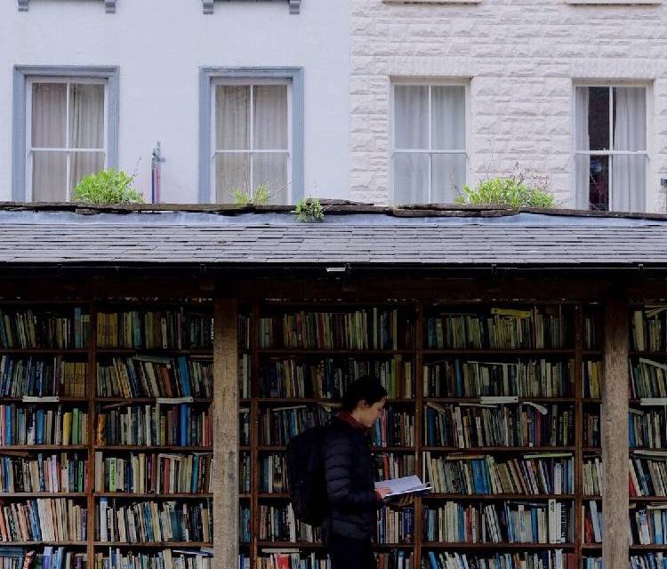 Preview of The town of books