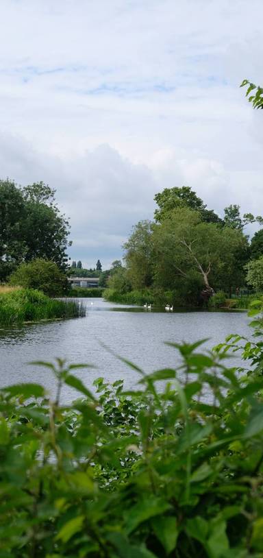 Preview of Riverside Rambling in Huntingdon