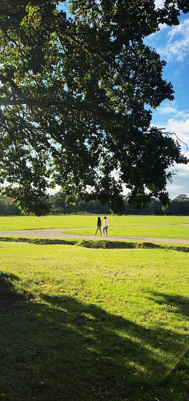 Preview of Southampton Common Explorer