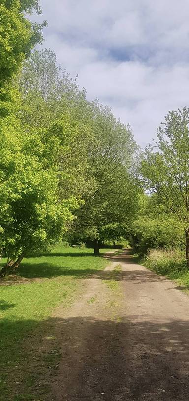 Preview of London Loop Section 16 Part B