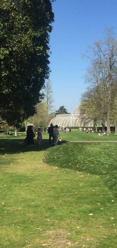 Preview of Spring Sunshine in Kew Gardens