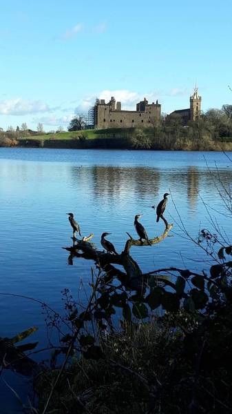 Preview of Linlithgow Loch