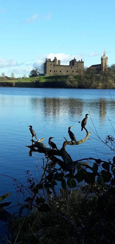 Preview of Linlithgow Loch
