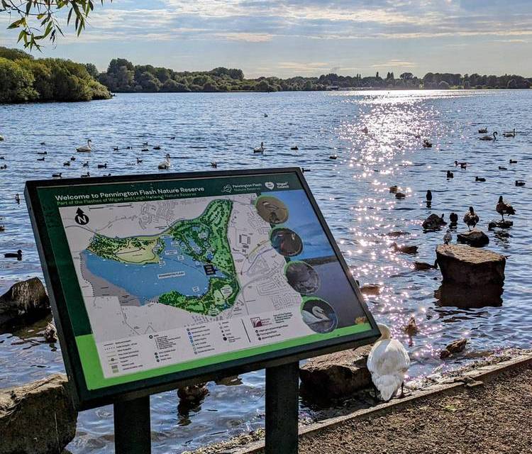 Preview of Pennington Flash