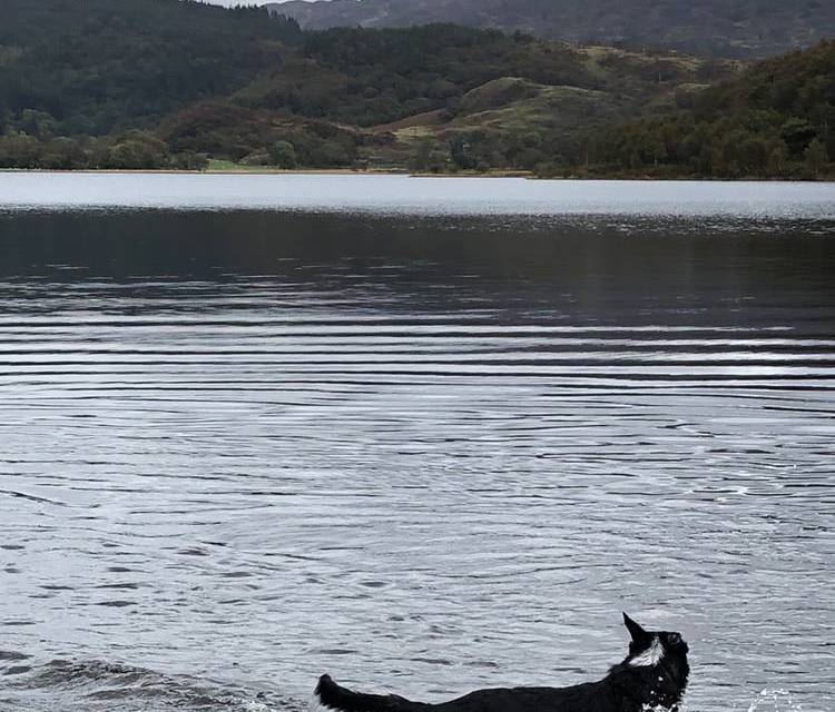 Preview of Beddgelert riverside to Llyn Dinas