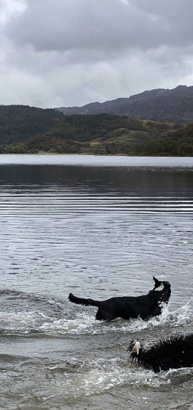 Preview of Beddgelert riverside to Llyn Dinas