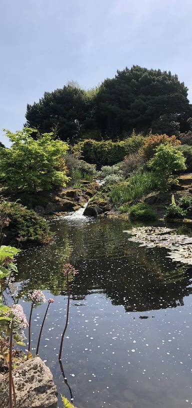 Preview of Nature at The Botanic Gardens 