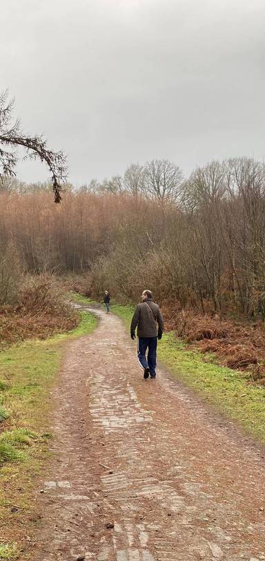 Preview of Delamere Forest