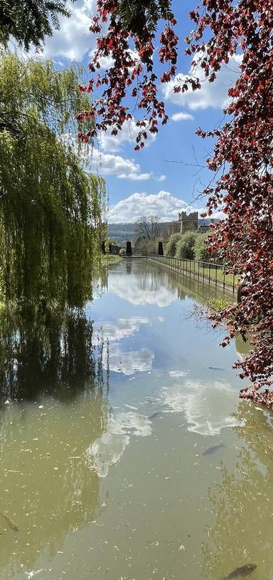 Preview of Saunter around Sudeley Castle