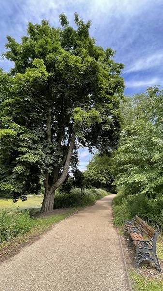 Preview of Ward End Park Tree & Nature Walk