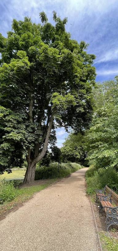 Preview of Ward End Park Tree & Nature Walk