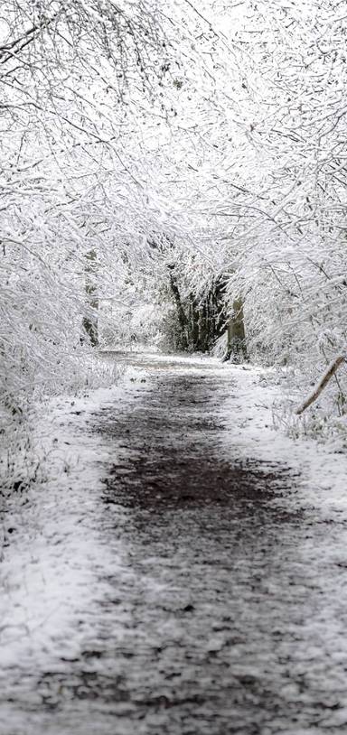 Preview of Pepper Wood & village walk